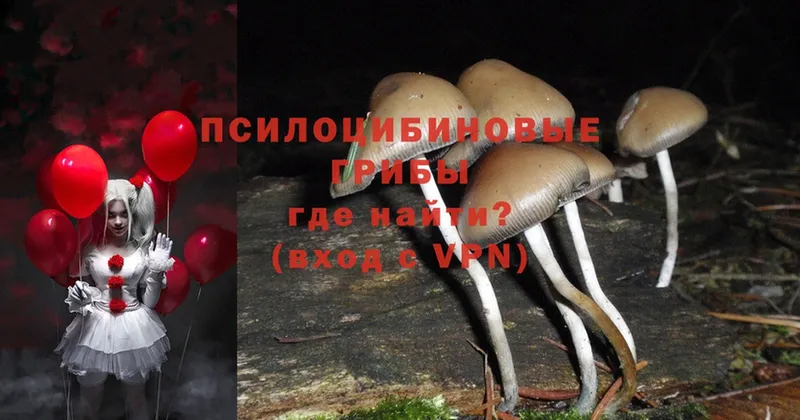 Галлюциногенные грибы Magic Shrooms  Иркутск 